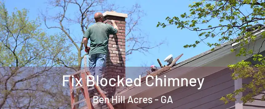 Fix Blocked Chimney Ben Hill Acres - GA