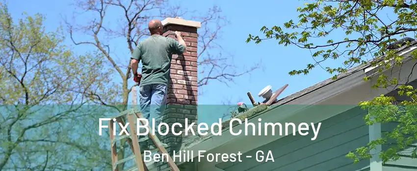 Fix Blocked Chimney Ben Hill Forest - GA
