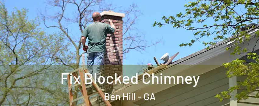 Fix Blocked Chimney Ben Hill - GA