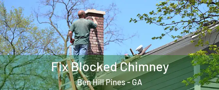 Fix Blocked Chimney Ben Hill Pines - GA
