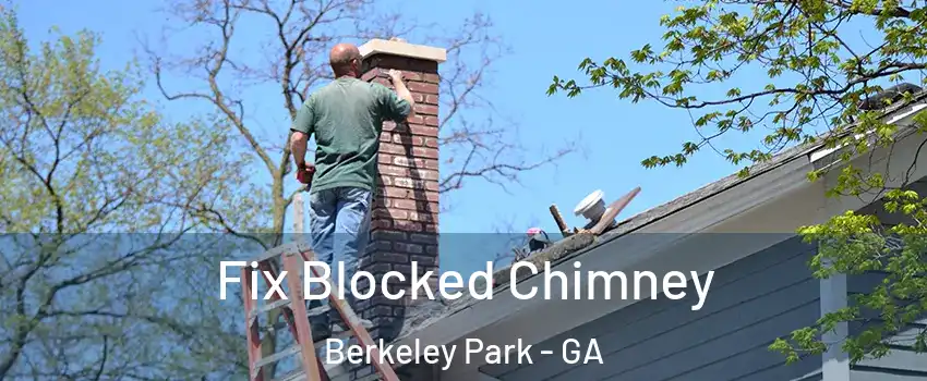 Fix Blocked Chimney Berkeley Park - GA