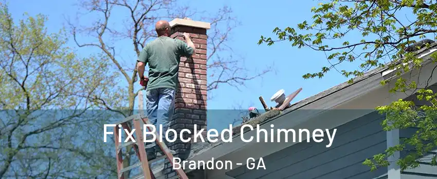 Fix Blocked Chimney Brandon - GA