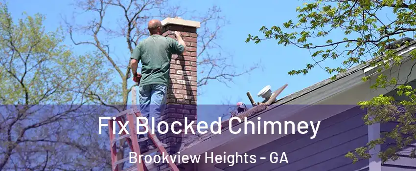 Fix Blocked Chimney Brookview Heights - GA
