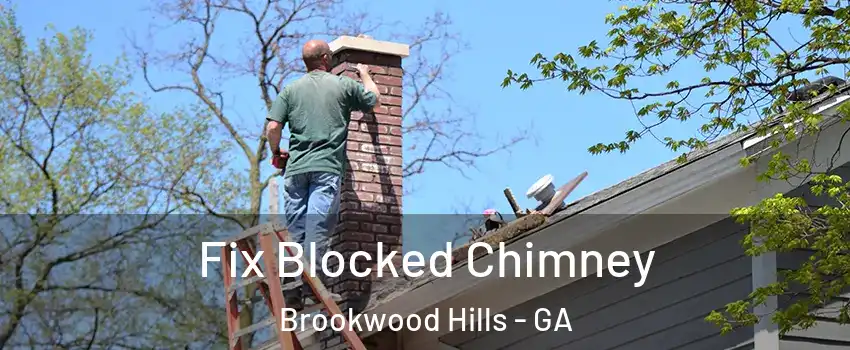 Fix Blocked Chimney Brookwood Hills - GA
