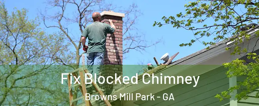 Fix Blocked Chimney Browns Mill Park - GA