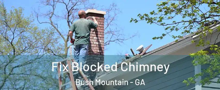 Fix Blocked Chimney Bush Mountain - GA
