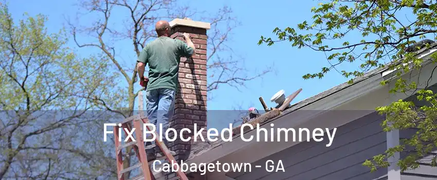 Fix Blocked Chimney Cabbagetown - GA
