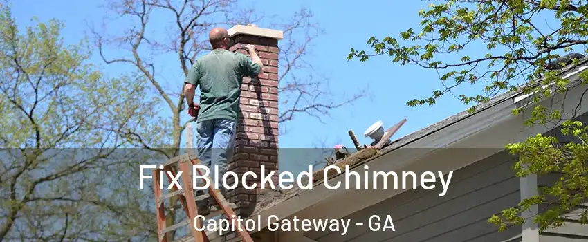 Fix Blocked Chimney Capitol Gateway - GA