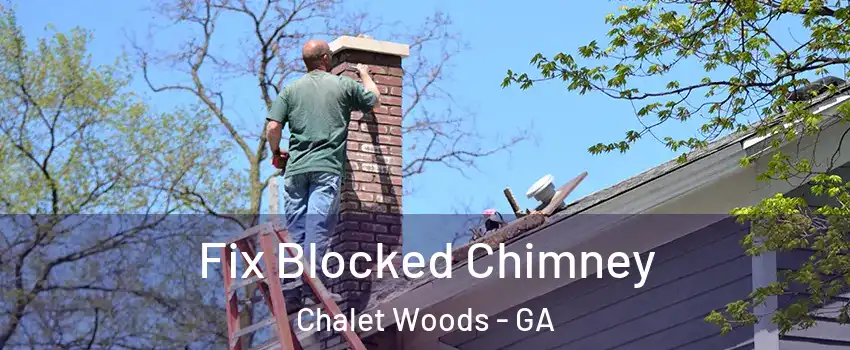 Fix Blocked Chimney Chalet Woods - GA