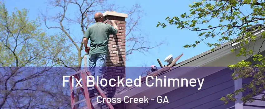 Fix Blocked Chimney Cross Creek - GA