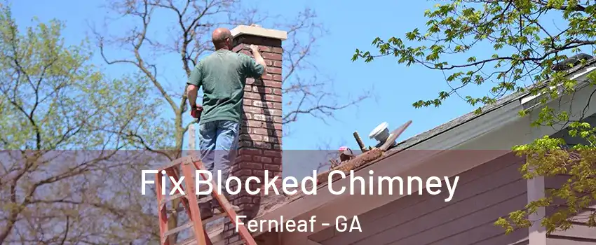 Fix Blocked Chimney Fernleaf - GA