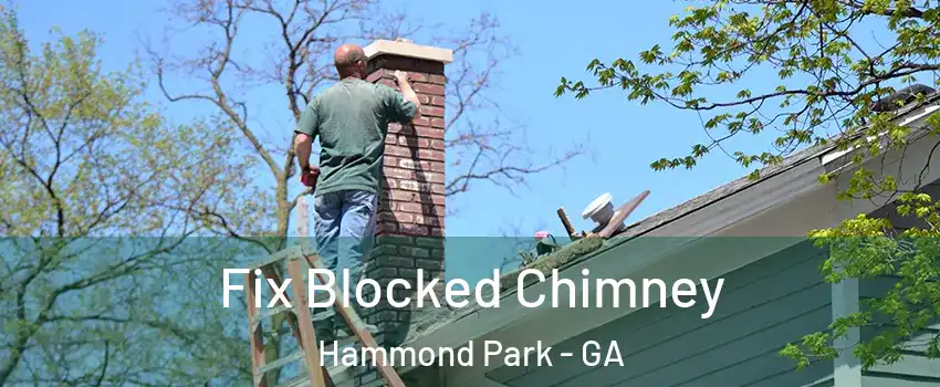 Fix Blocked Chimney Hammond Park - GA