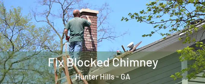 Fix Blocked Chimney Hunter Hills - GA
