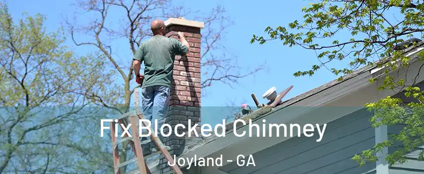 Fix Blocked Chimney Joyland - GA