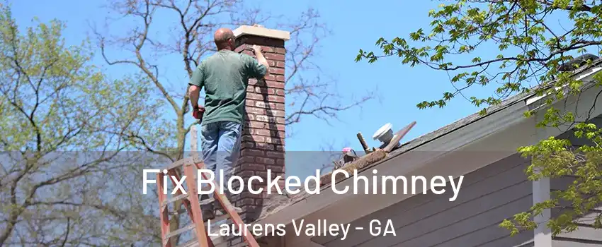 Fix Blocked Chimney Laurens Valley - GA