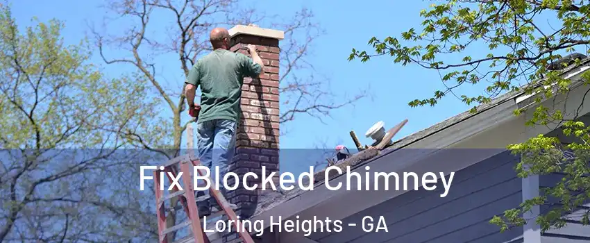 Fix Blocked Chimney Loring Heights - GA