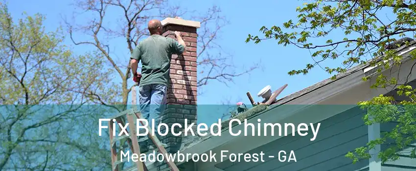 Fix Blocked Chimney Meadowbrook Forest - GA
