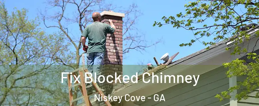 Fix Blocked Chimney Niskey Cove - GA