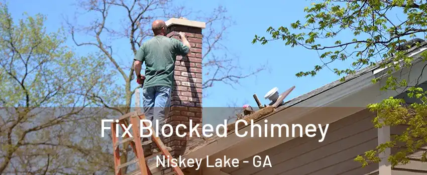 Fix Blocked Chimney Niskey Lake - GA