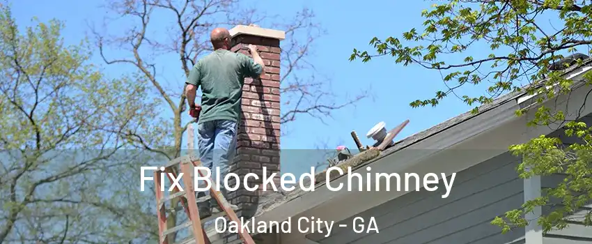Fix Blocked Chimney Oakland City - GA