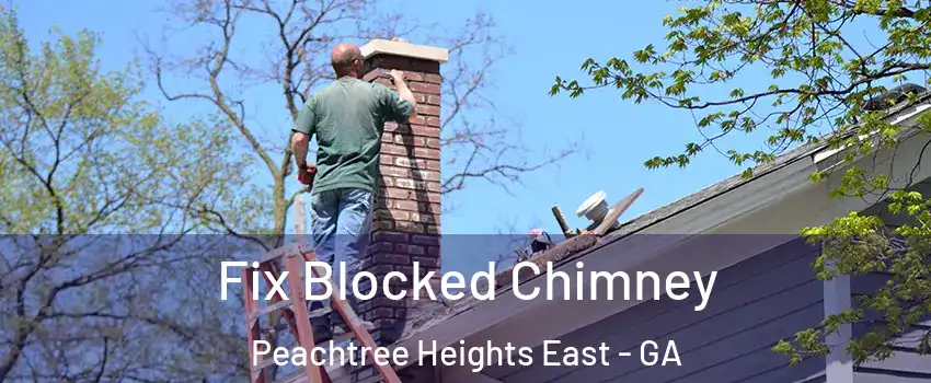 Fix Blocked Chimney Peachtree Heights East - GA