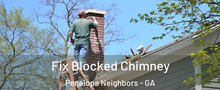 Fix Blocked Chimney Penelope Neighbors - GA