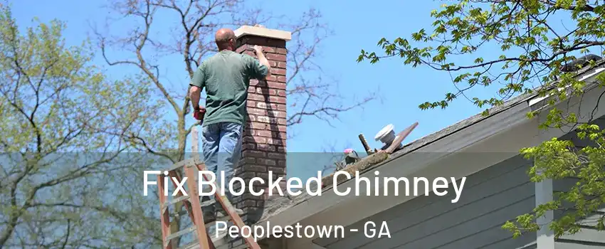 Fix Blocked Chimney Peoplestown - GA