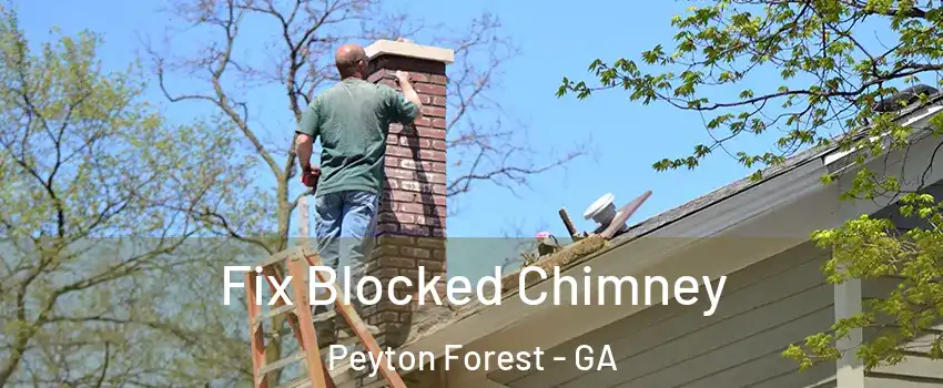 Fix Blocked Chimney Peyton Forest - GA