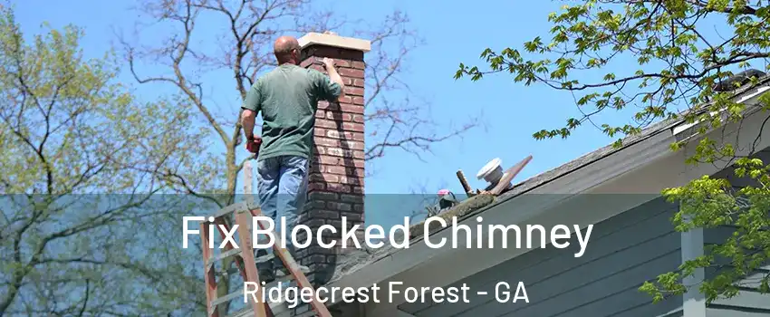 Fix Blocked Chimney Ridgecrest Forest - GA