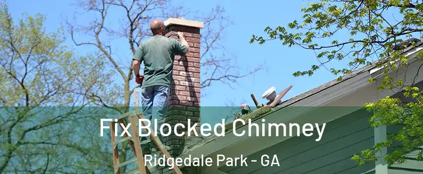 Fix Blocked Chimney Ridgedale Park - GA