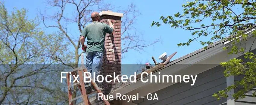 Fix Blocked Chimney Rue Royal - GA