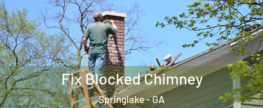 Fix Blocked Chimney Springlake - GA