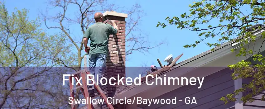 Fix Blocked Chimney Swallow Circle/Baywood - GA