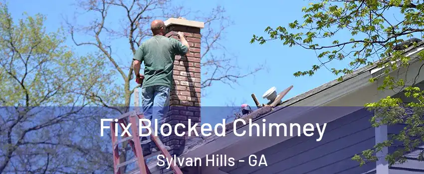 Fix Blocked Chimney Sylvan Hills - GA