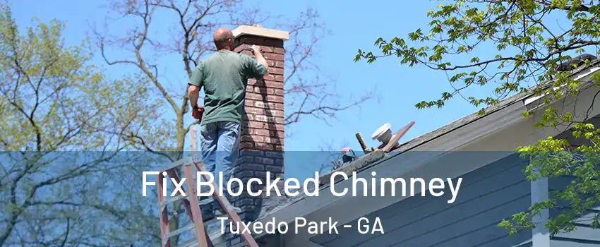 Fix Blocked Chimney Tuxedo Park - GA