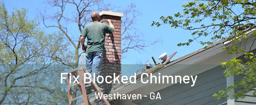 Fix Blocked Chimney Westhaven - GA