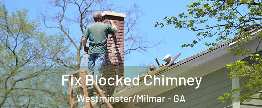 Fix Blocked Chimney Westminster/Milmar - GA