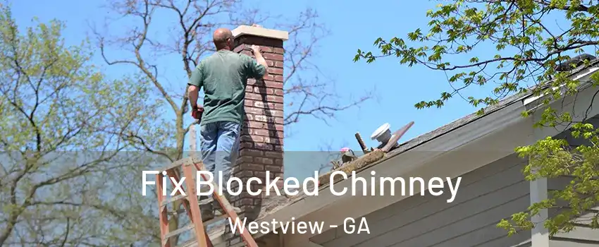 Fix Blocked Chimney Westview - GA