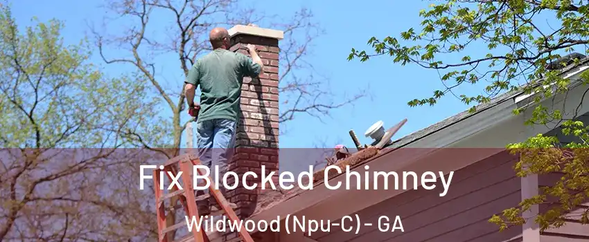 Fix Blocked Chimney Wildwood (Npu-C) - GA