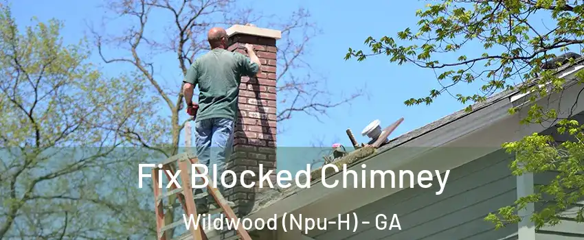 Fix Blocked Chimney Wildwood (Npu-H) - GA