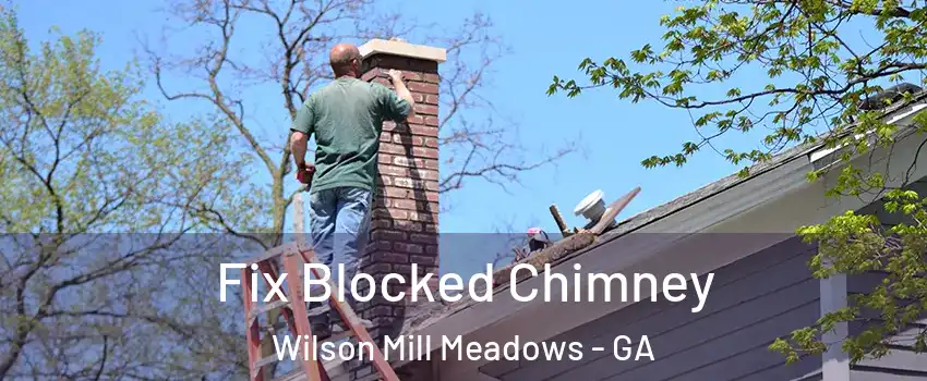 Fix Blocked Chimney Wilson Mill Meadows - GA