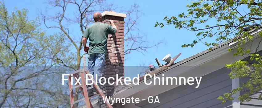Fix Blocked Chimney Wyngate - GA
