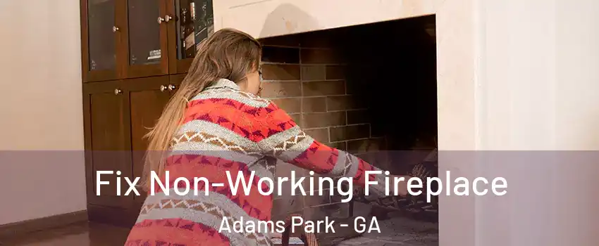 Fix Non-Working Fireplace Adams Park - GA