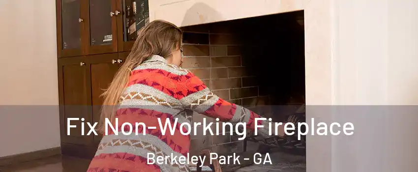 Fix Non-Working Fireplace Berkeley Park - GA