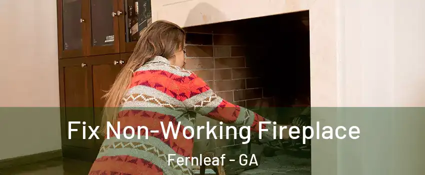 Fix Non-Working Fireplace Fernleaf - GA