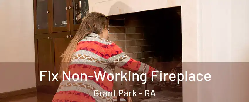 Fix Non-Working Fireplace Grant Park - GA