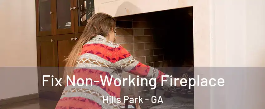 Fix Non-Working Fireplace Hills Park - GA