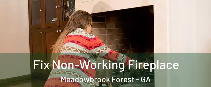 Fix Non-Working Fireplace Meadowbrook Forest - GA