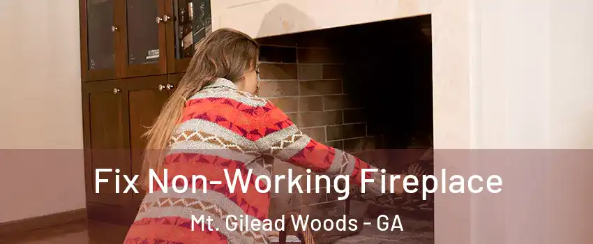 Fix Non-Working Fireplace Mt. Gilead Woods - GA