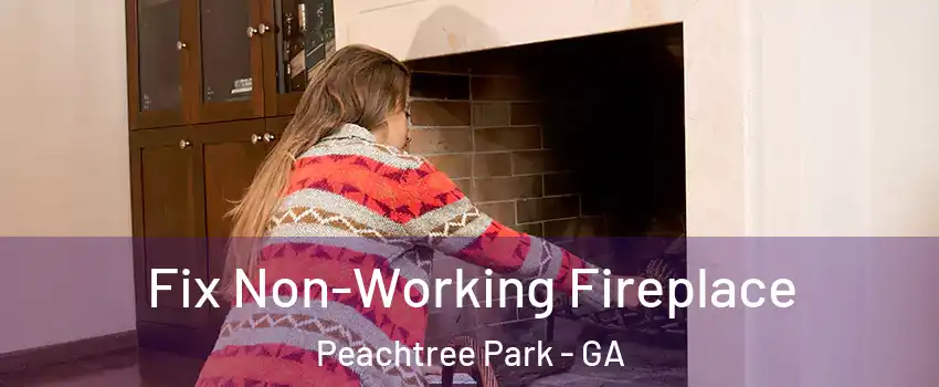 Fix Non-Working Fireplace Peachtree Park - GA